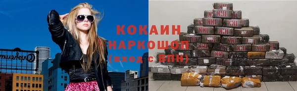 apvp Бородино