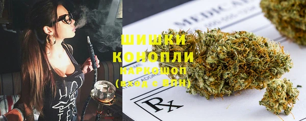 МДПВ Бронницы