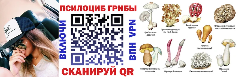 Галлюциногенные грибы прущие грибы  закладки  Сретенск 
